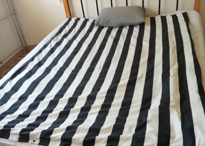 Bed And Food Included